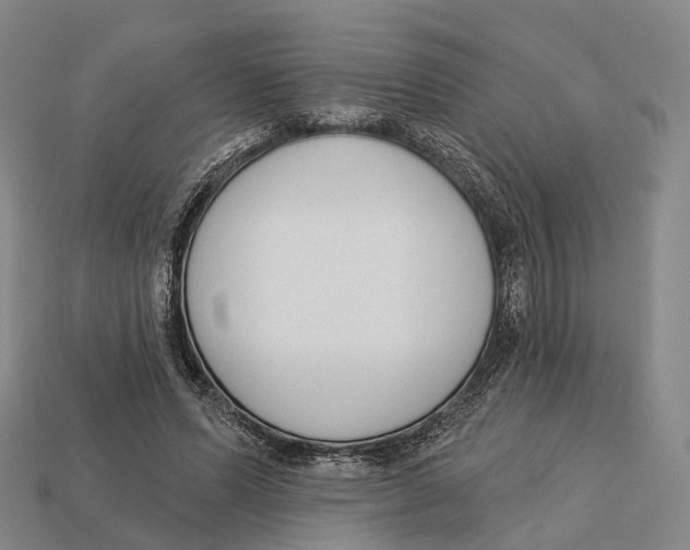 X0000113100591200909251033