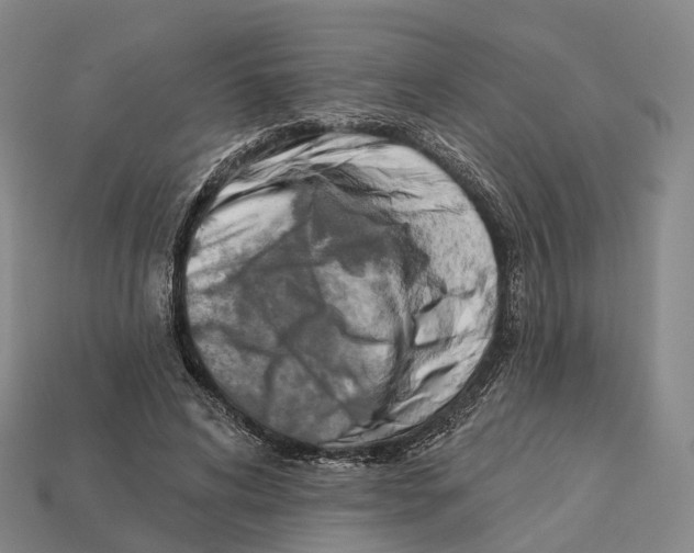 X0000113100592200909251033