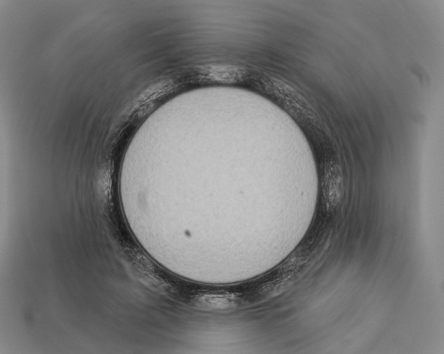X0000113100595200909251033