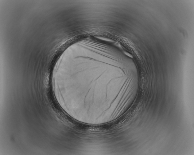 X0000113100596200909251033