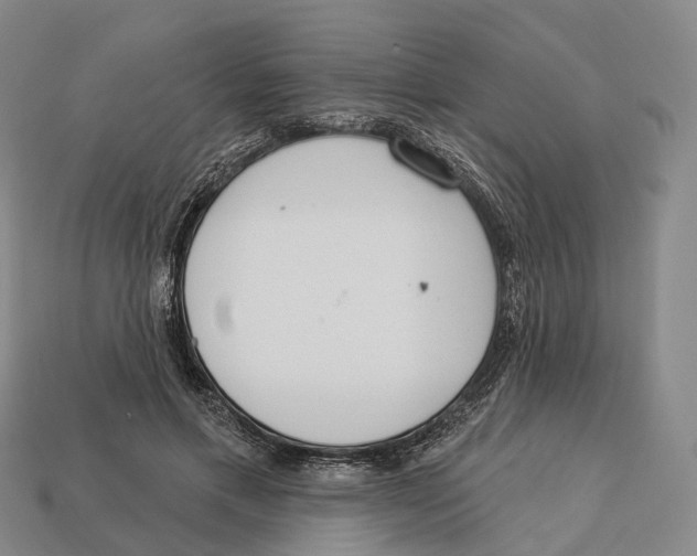 X0000113100597200909251033