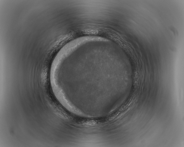 X0000113100600200909251033