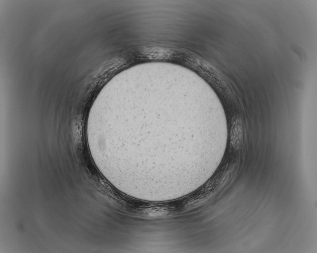 X0000113100604200909251033