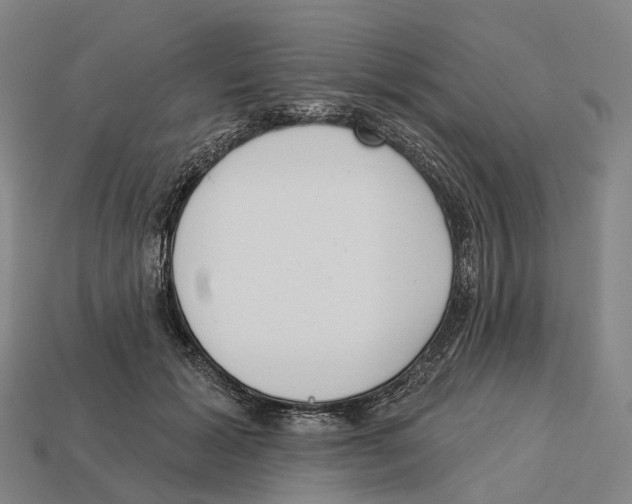X0000113100605200909251033
