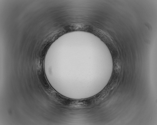 X0000113100607200909251033