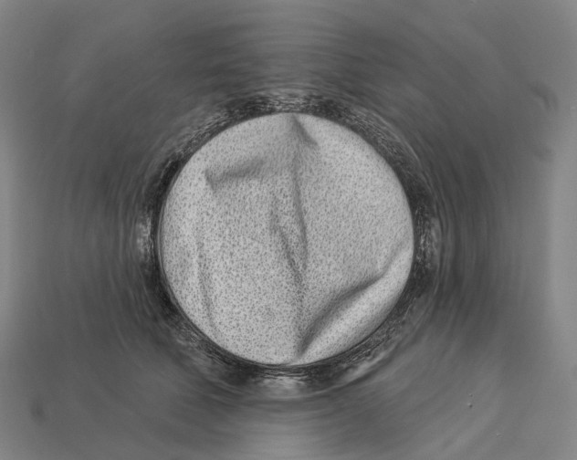 X0000113100610200909251033