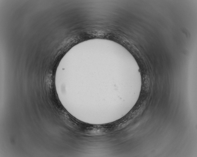 X0000113100612200909251033