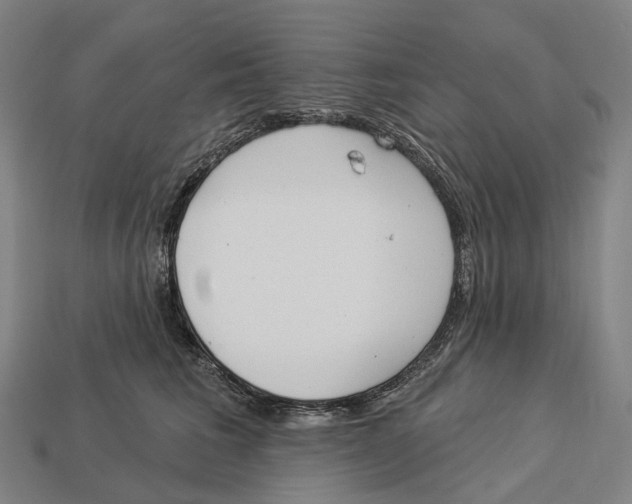 X0000113100613200909251033