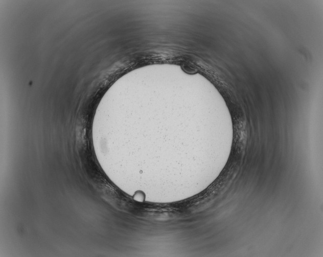 X0000113100615200909251033