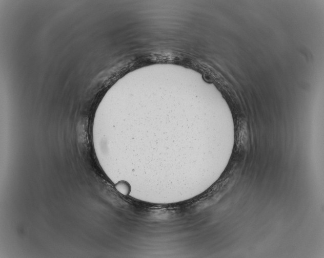 X0000113100616200909251033