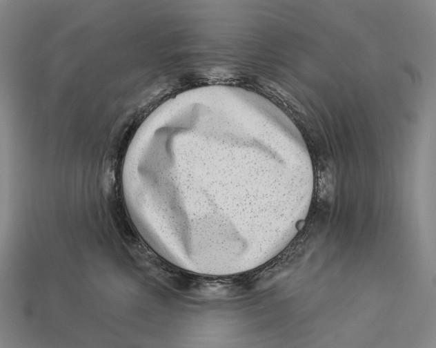 X0000113100618200909251033