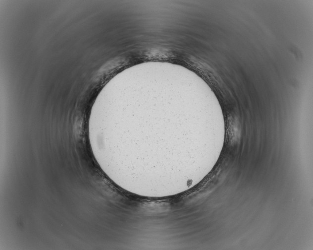 X0000113100619200909251033