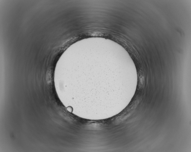 X0000113100620200909251033