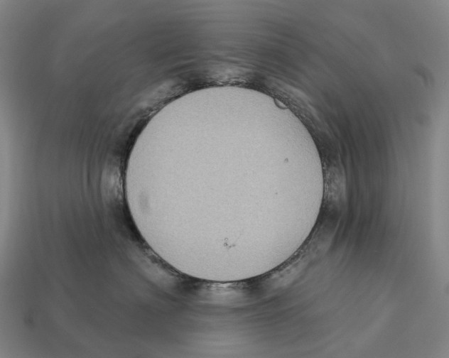 X0000113100622200909251033