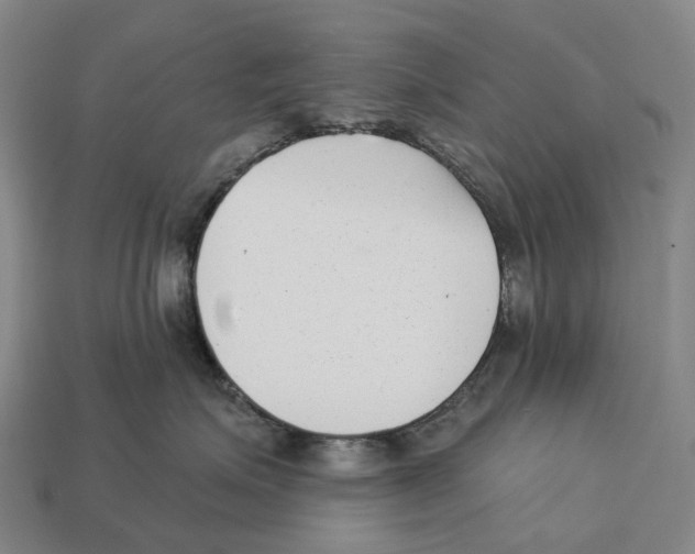X0000113100623200909251033
