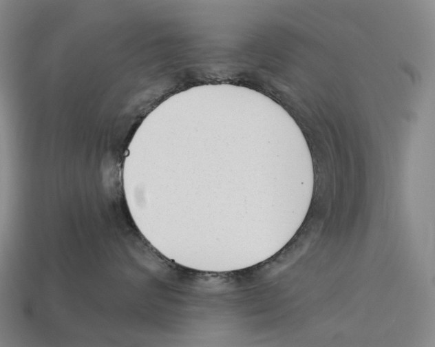 X0000113100624200909251033
