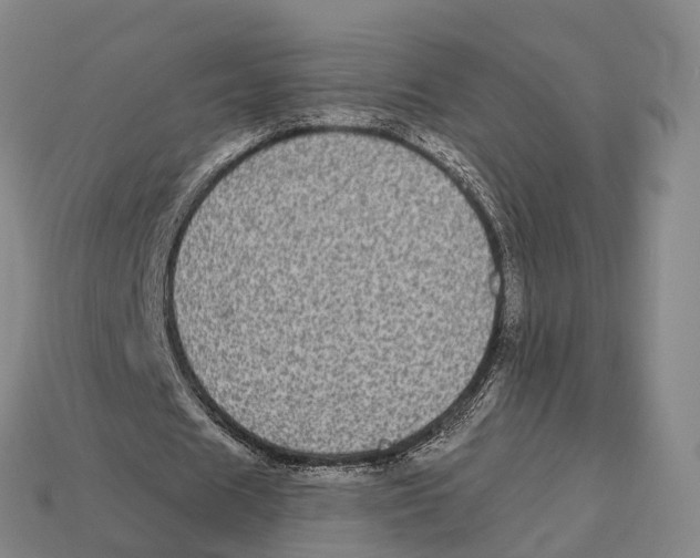 X0000113100625200909251032