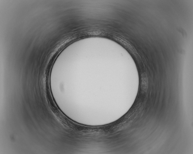 X0000113100626200909251032