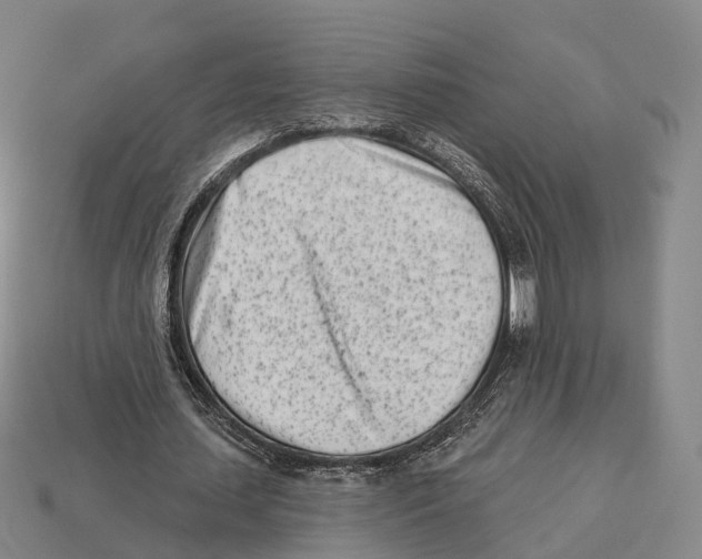 X0000113100627200909251032