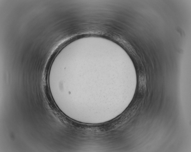 X0000113100628200909251032