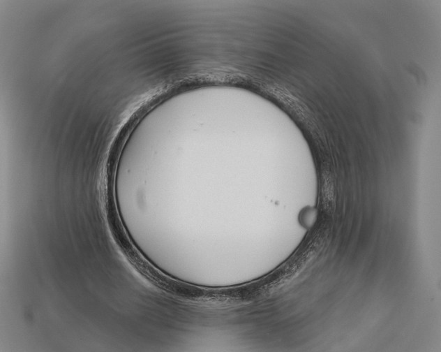 X0000113100630200909251032
