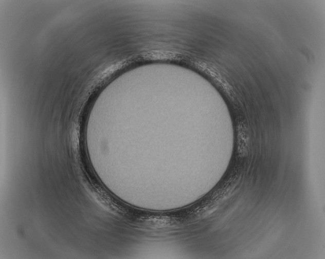 X0000113100631200909251032