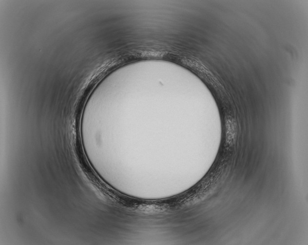 X0000113100634200909251032