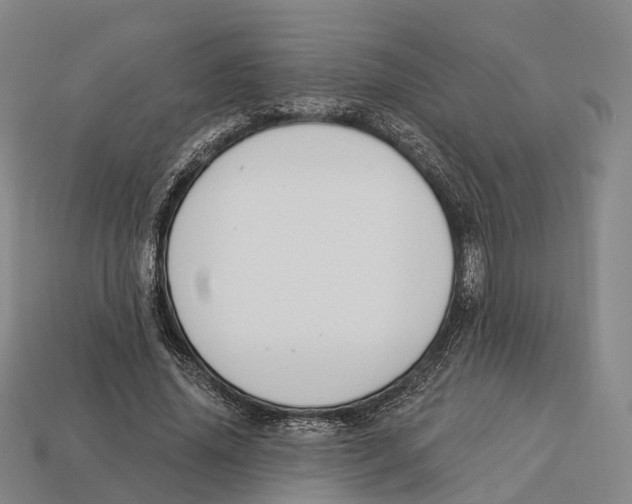 X0000113100636200909251032