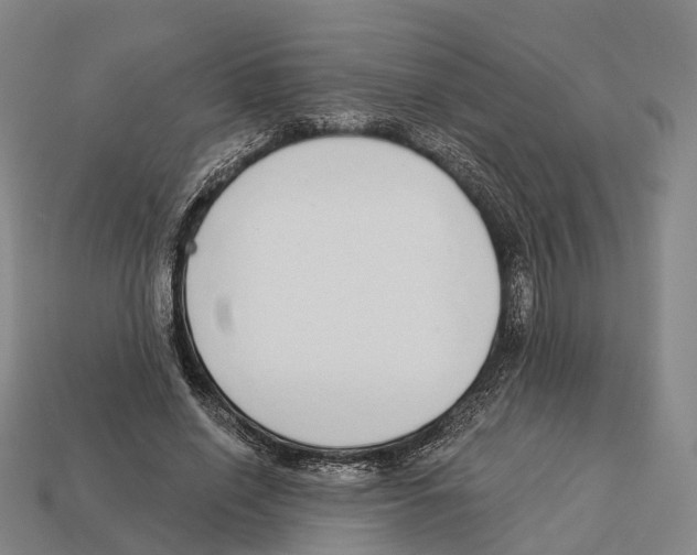 X0000113100638200909251032