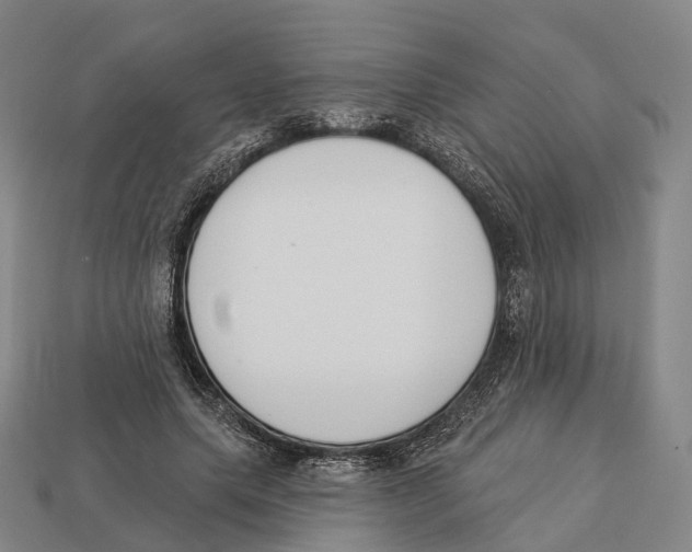 X0000113100639200909251032
