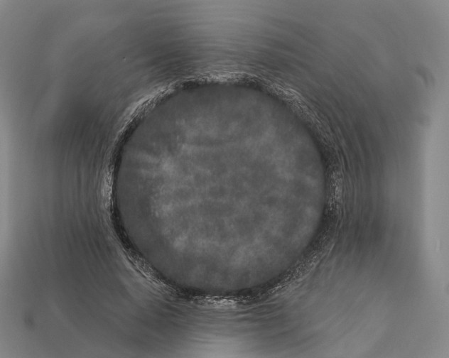 X0000113100640200909251032
