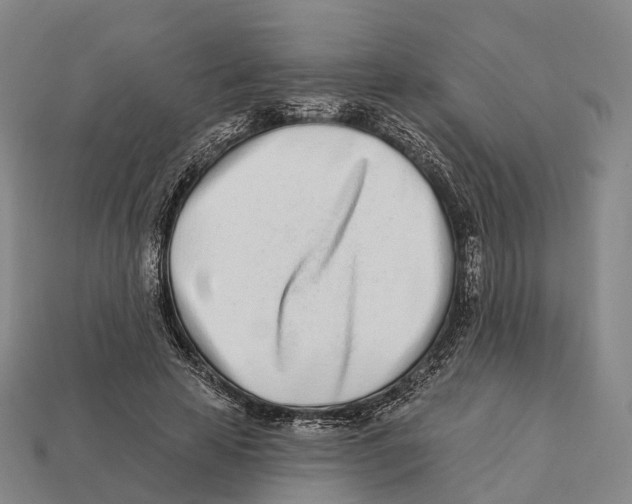 X0000113100641200909251032