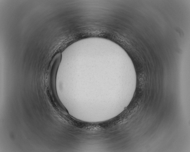 X0000113100642200909251032