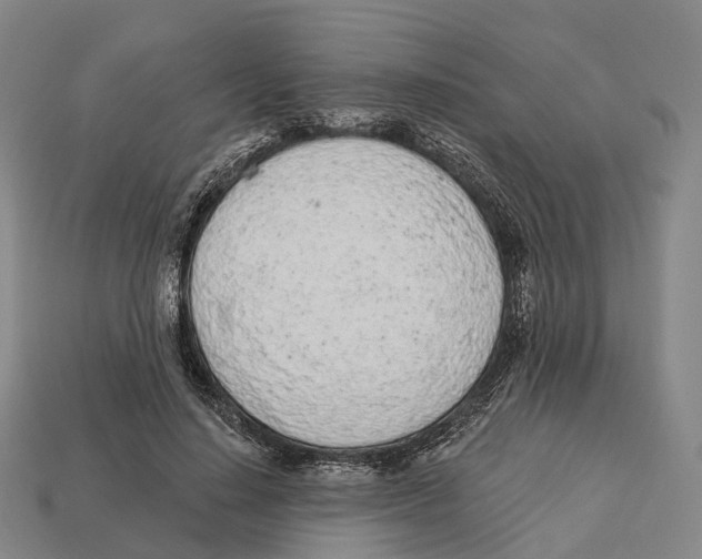 X0000113100644200909251032
