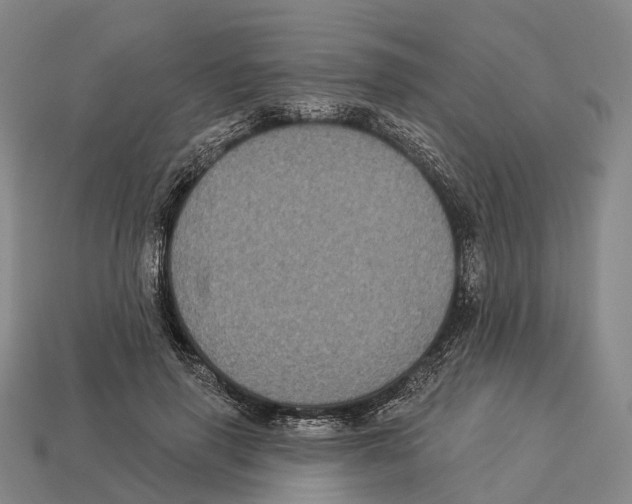X0000113100645200909251032