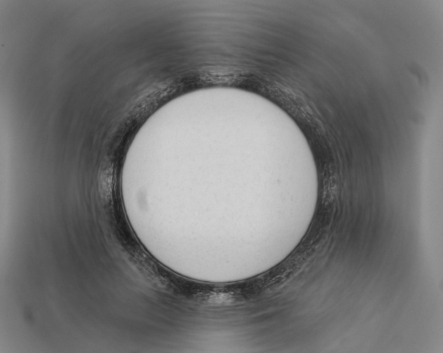 X0000113100647200909251032