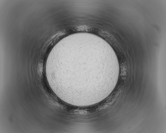X0000113100648200909251032