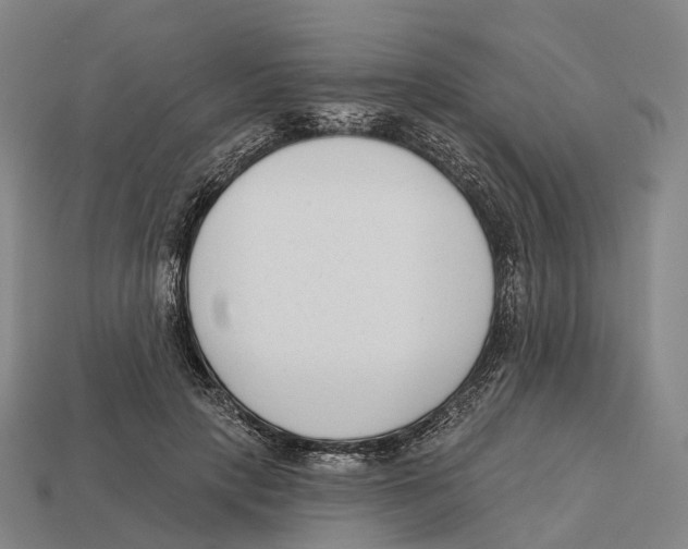 X0000113100649200909251032