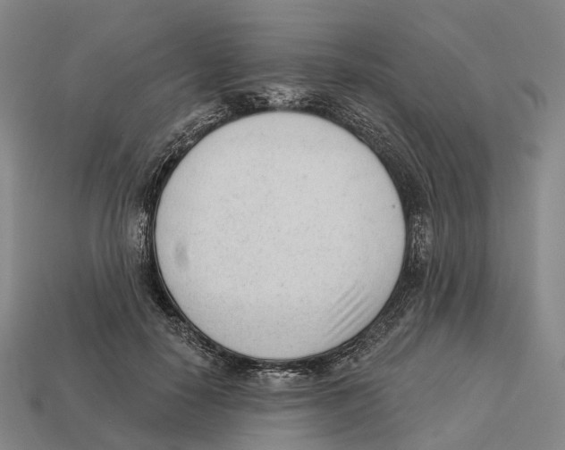 X0000113100650200909251032