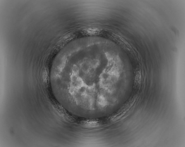 X0000113100651200909251032