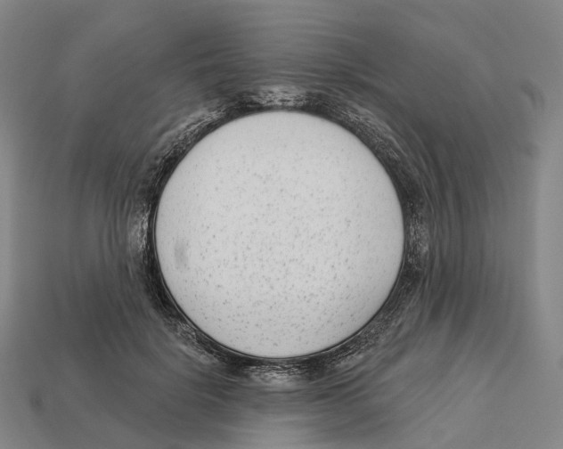 X0000113100652200909251032