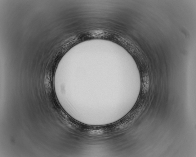 X0000113100653200909251032