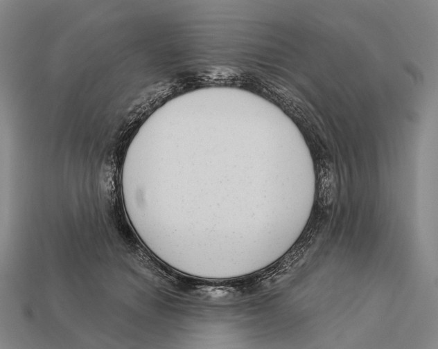 X0000113100654200909251032