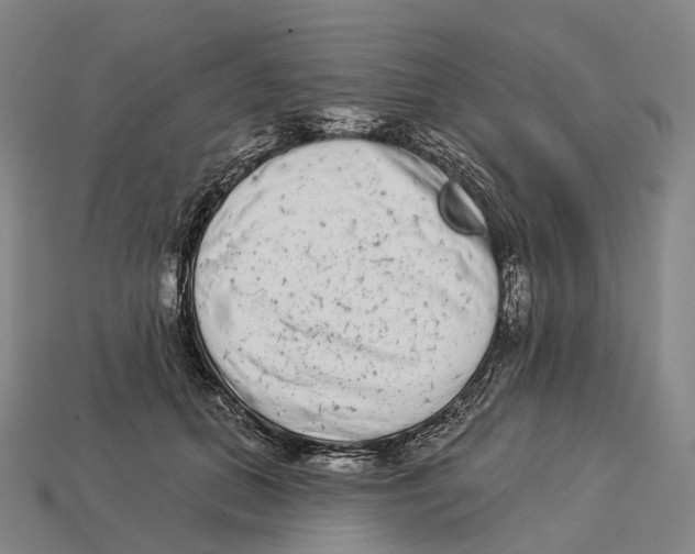 X0000113100655200909251032