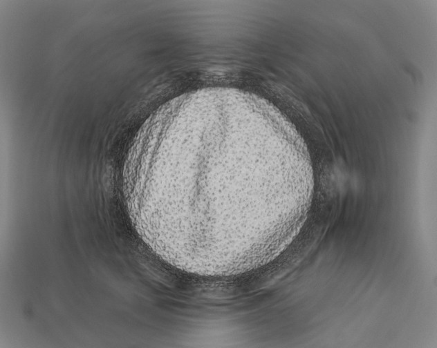 X0000113100659200909251032