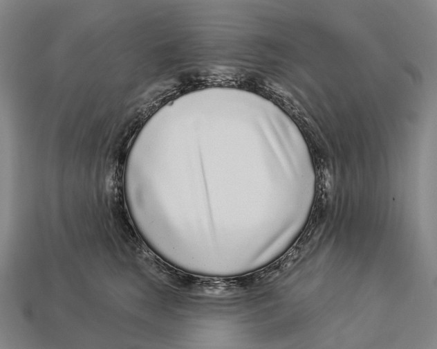 X0000113100663200909251032