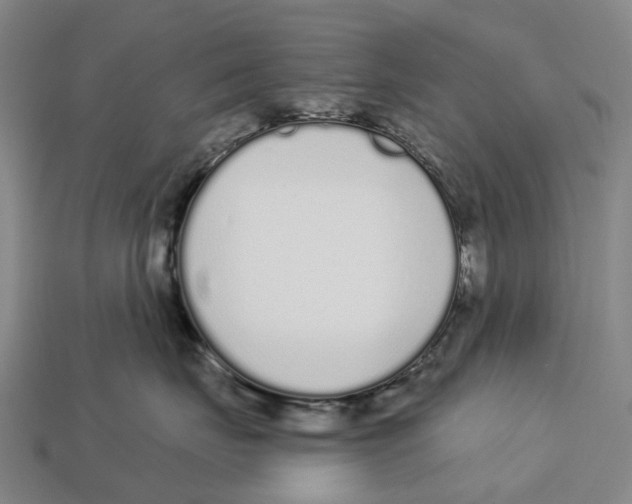 X0000113100671200909251033