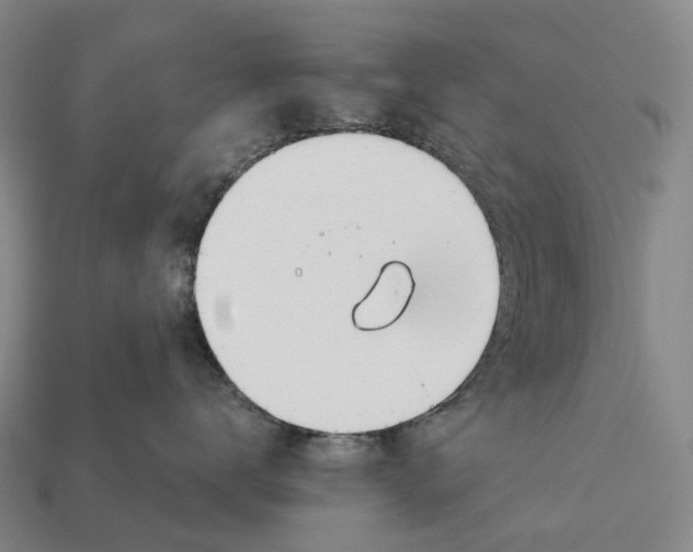 X0000113100672200909251033