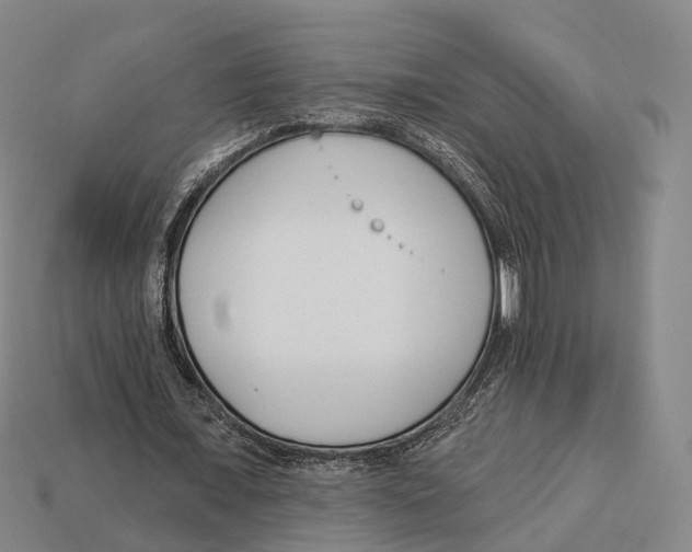 X0000113100675200909251032