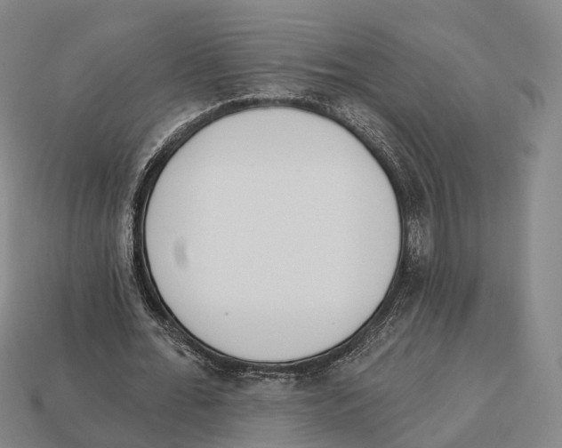 X0000113100676200909251032